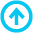 arrow icon